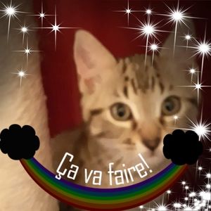 Meet your Posher, Vicky